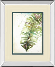 Mirrored Frame Watercolor Plantain Leaves II By Patricia Pinto