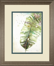 Watercolor Plantain Leaves II By Patricia Pinto