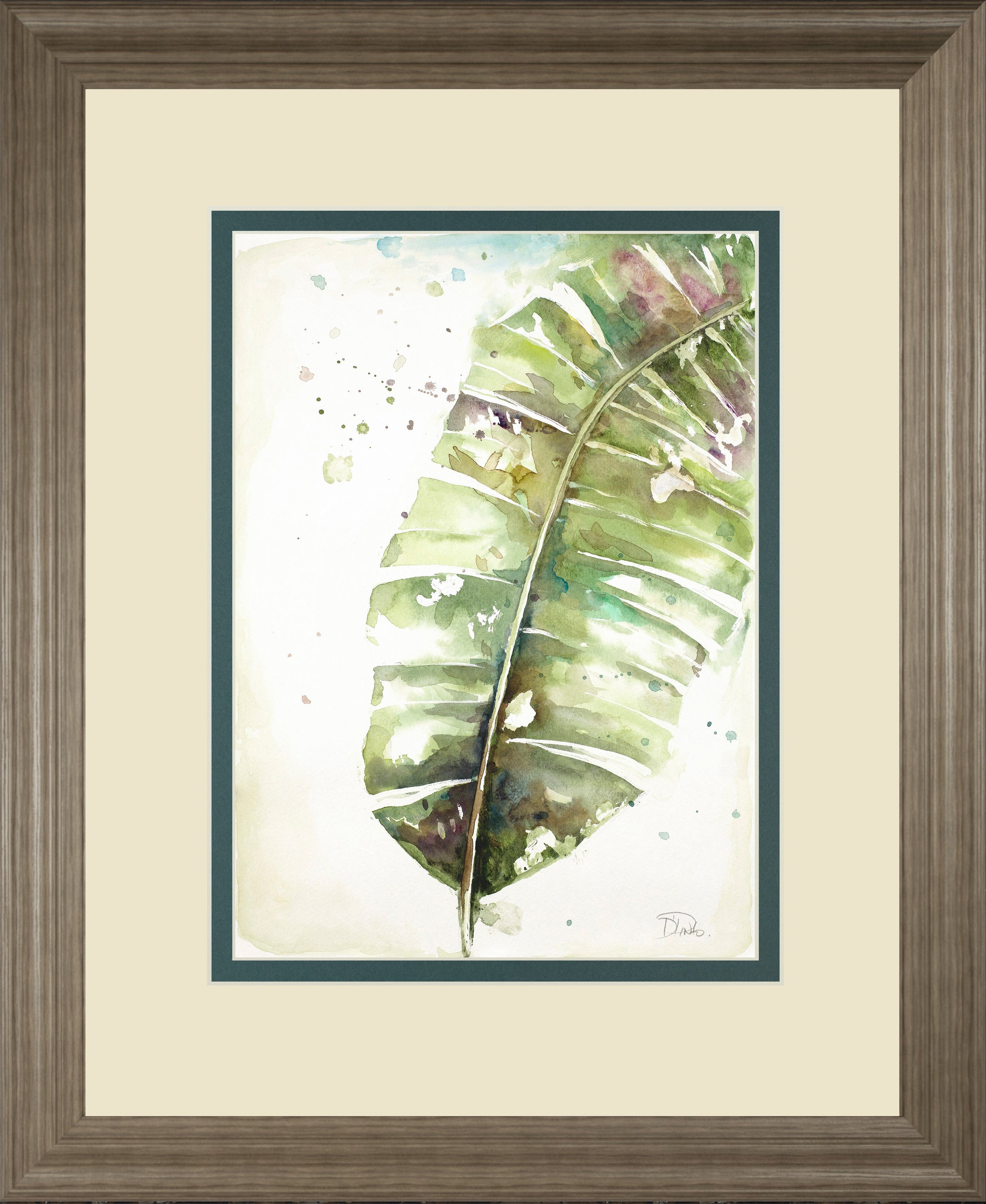 Watercolor Plantain Leaves II By Patricia Pinto