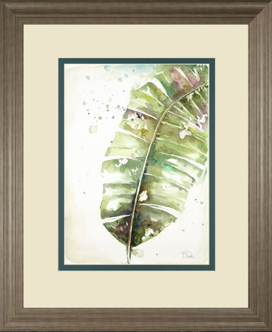 Watercolor Plantain Leaves II By Patricia Pinto