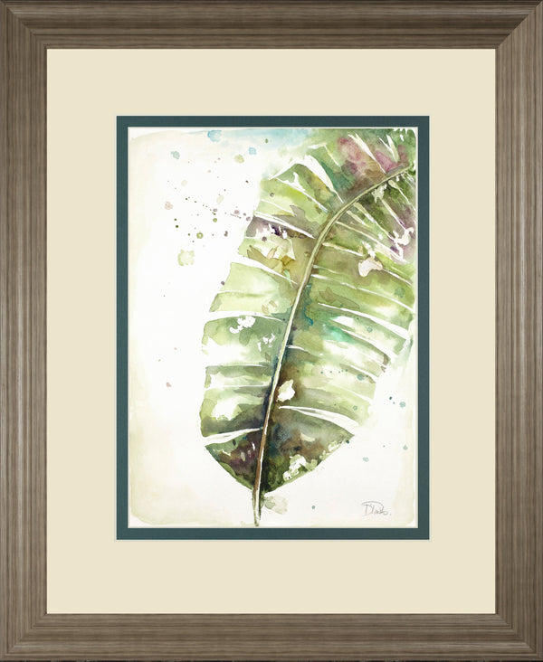 Watercolor Plantain Leaves II By Patricia Pinto