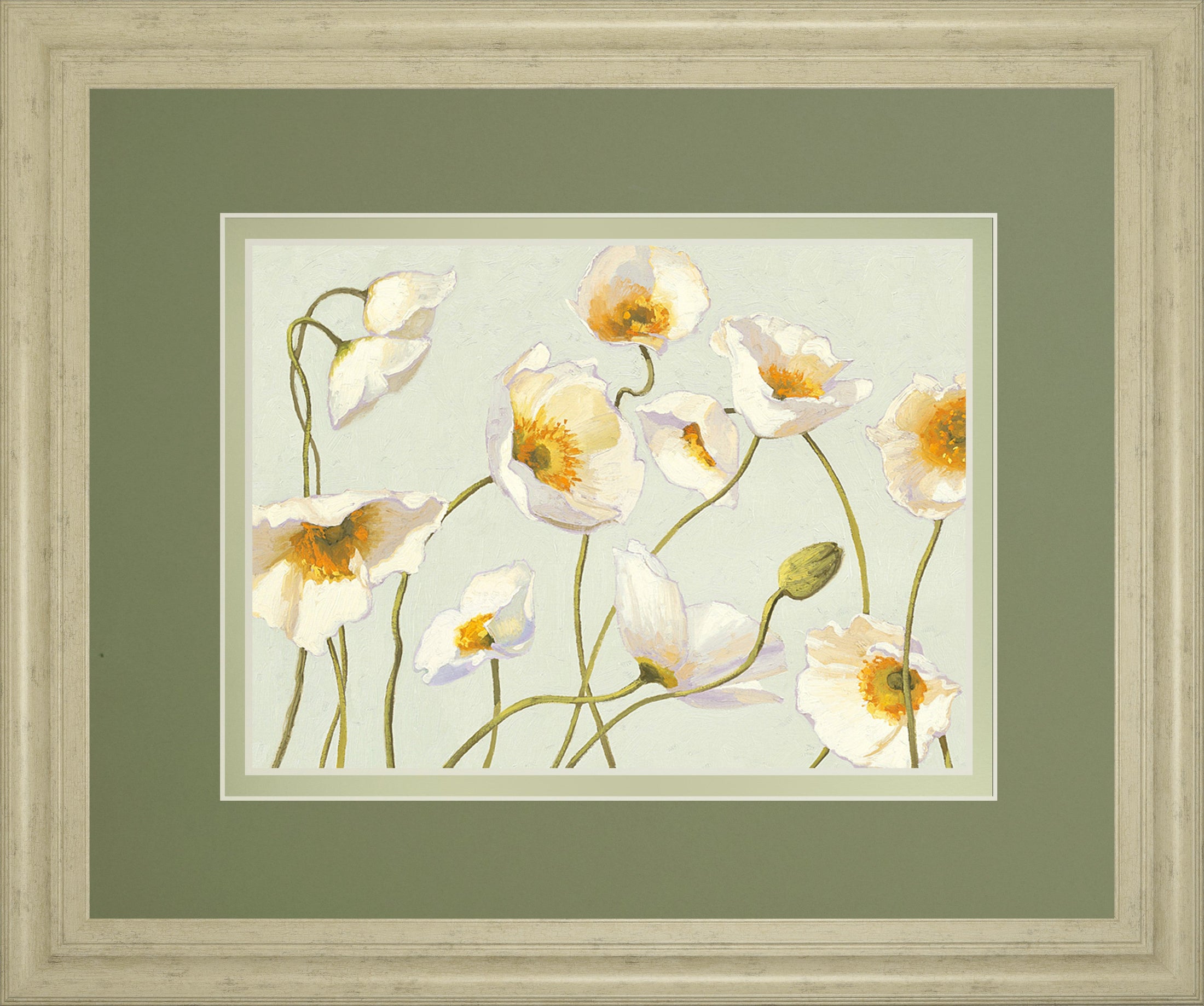 White Bright Poppies By Novak