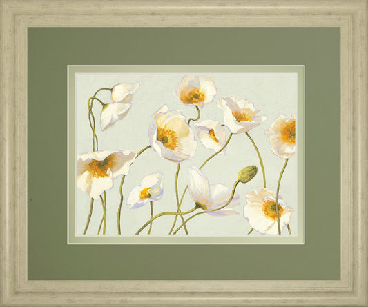 White Bright Poppies By Novak