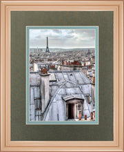 Paris Rooftops By Assaf Frank