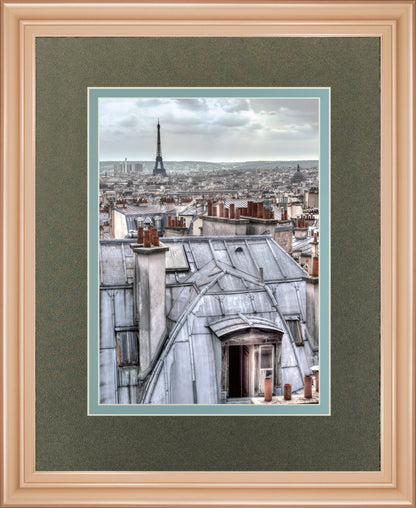 Paris Rooftops By Assaf Frank