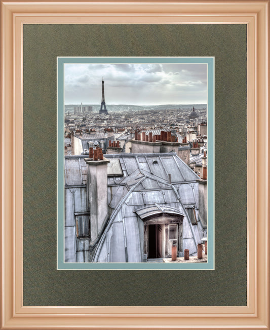 Paris Rooftops By Assaf Frank