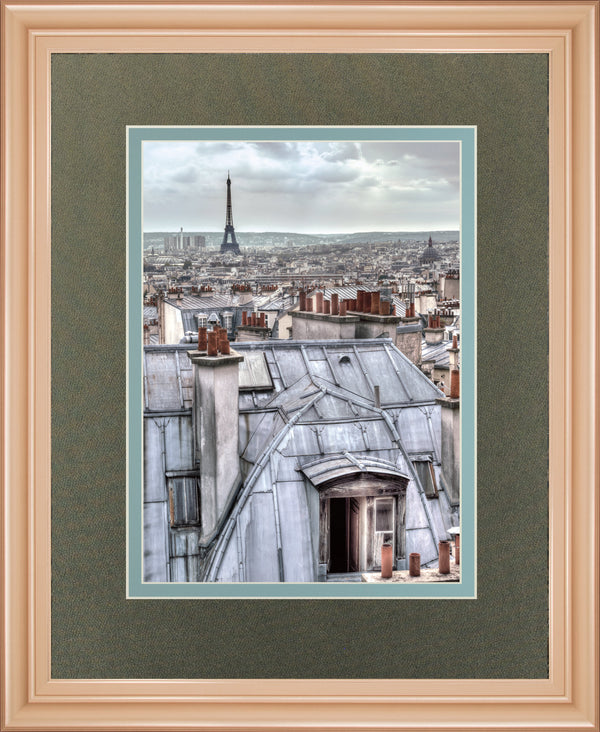 Paris Rooftops By Assaf Frank