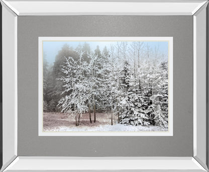 Frosty Morning By Mike Jone
