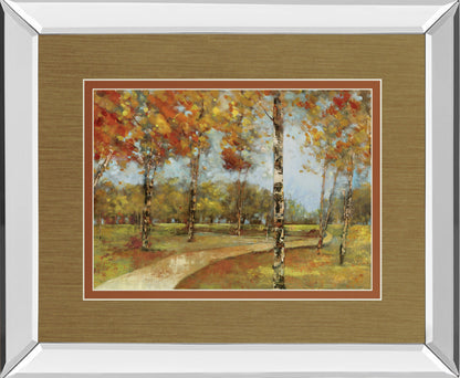 Autumn Path By Carmen Dolce