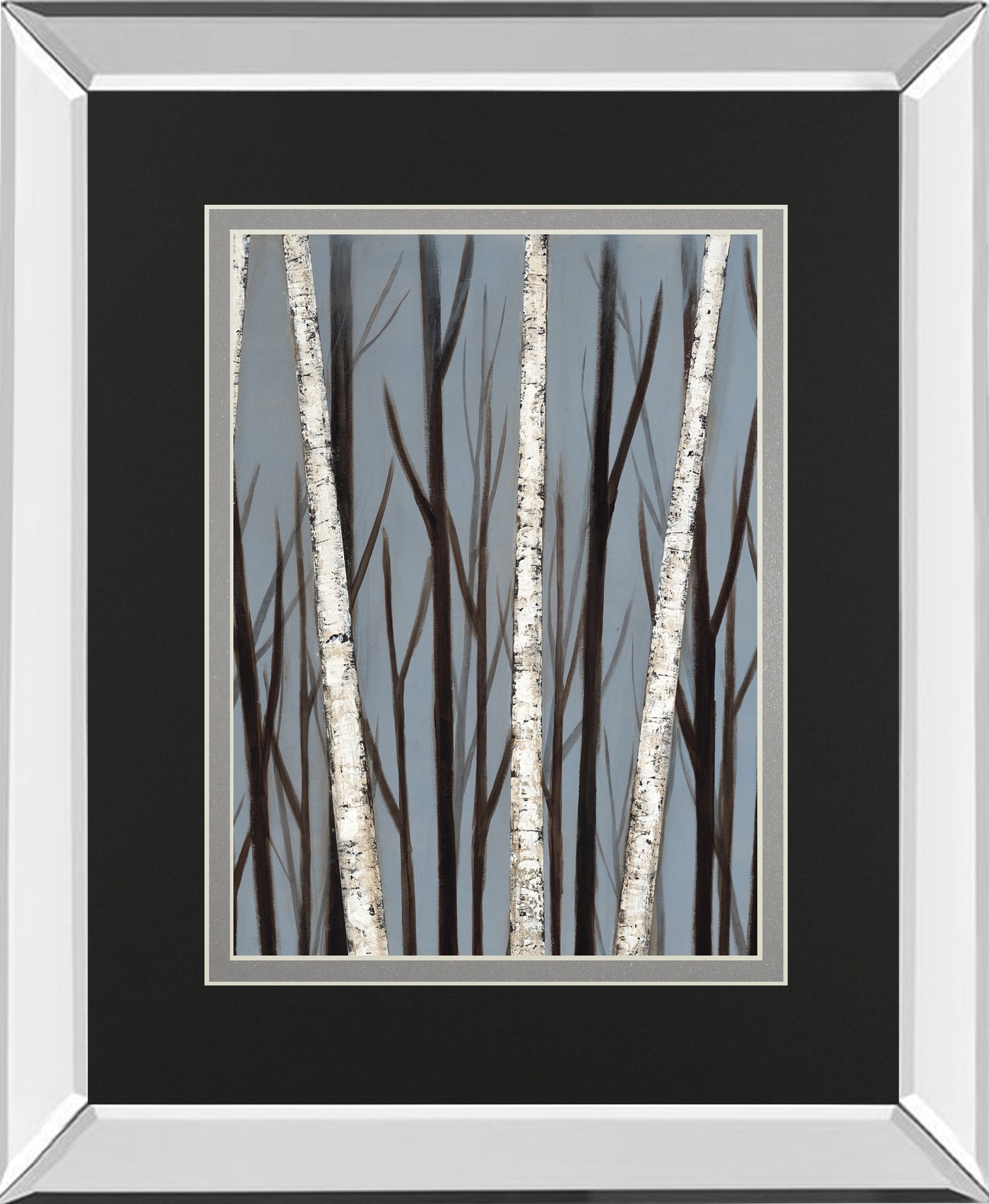 Birch Shadows By Eve