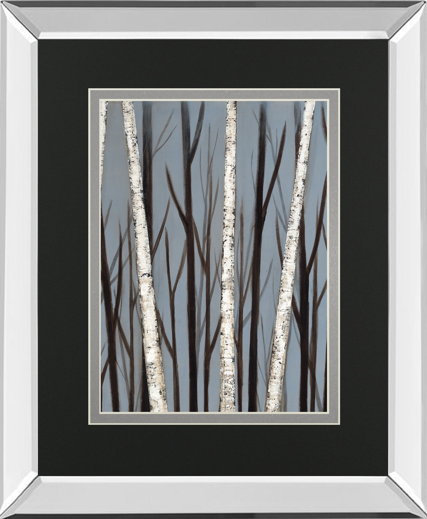Birch Shadows By Eve