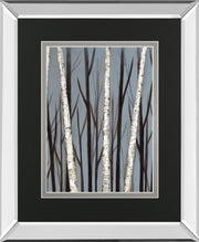 Birch Shadows By Eve