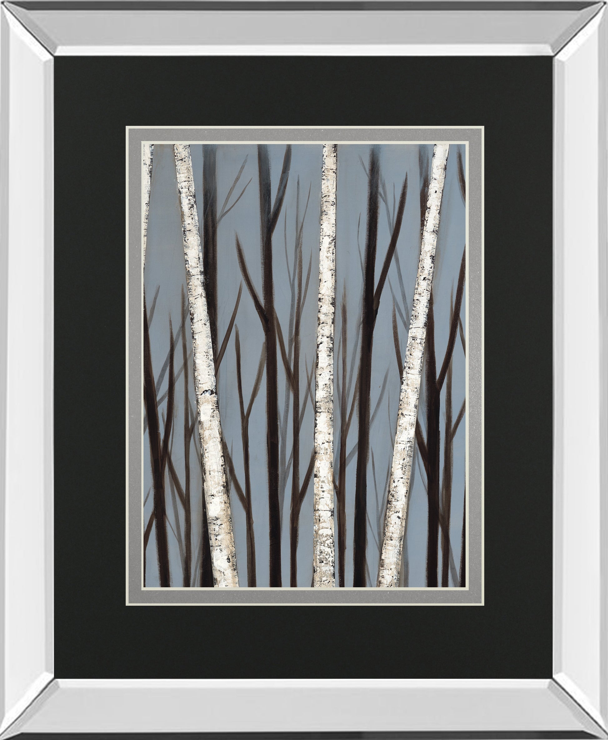 Birch Shadows By Eve
