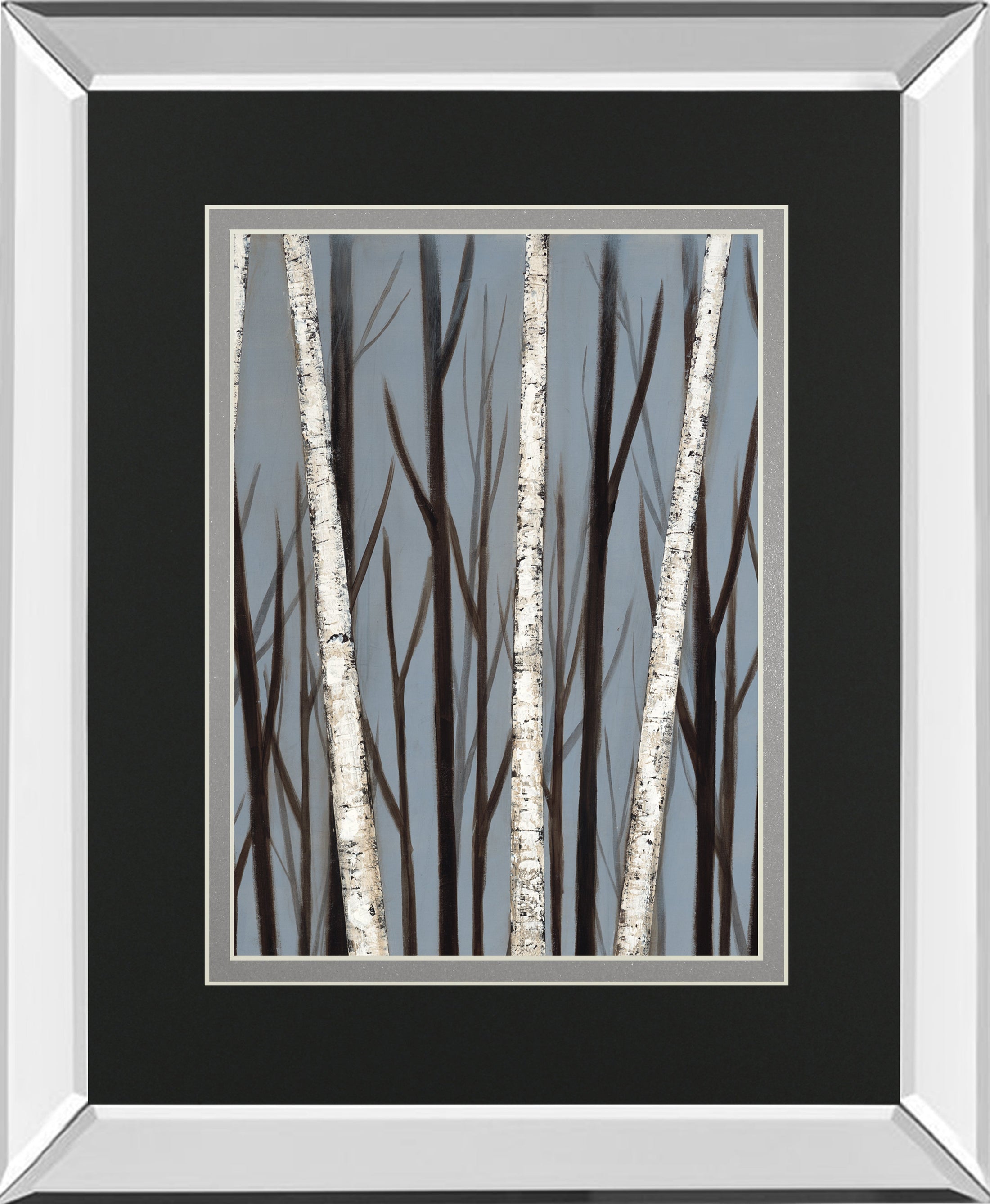 Birch Shadows By Eve