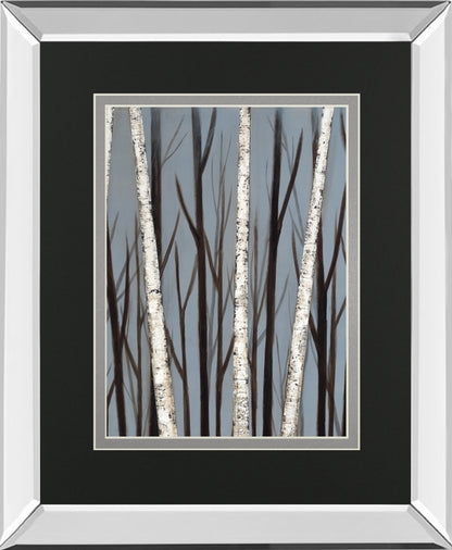 Birch Shadows By Eve