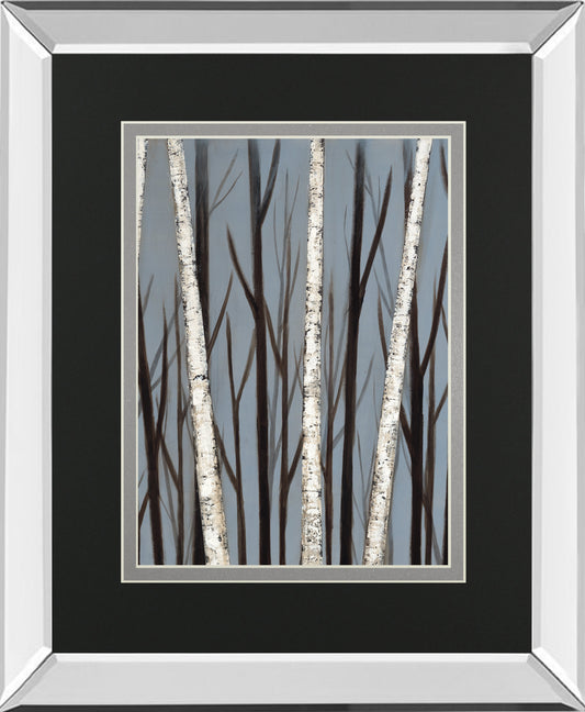 Birch Shadows By Eve