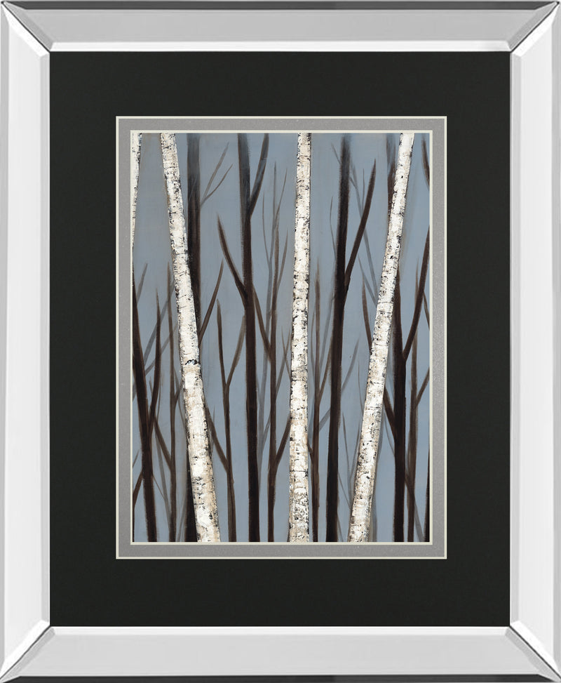 Birch Shadows By Eve