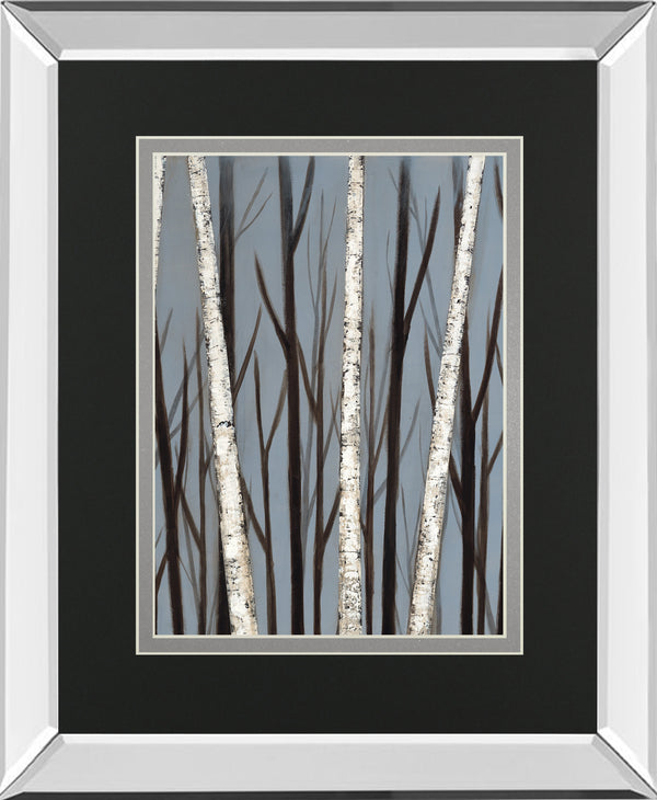Birch Shadows By Eve