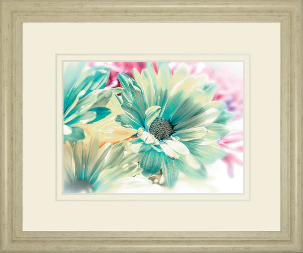 Color Full By Marie, D.