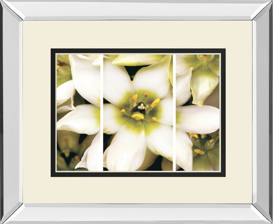 Star Of Bethlehem Triptych By Levine, A.