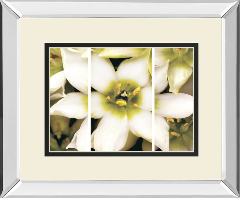 Star Of Bethlehem Triptych By Levine, A.