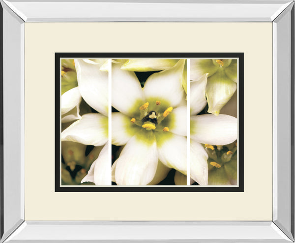 Star Of Bethlehem Triptych By Levine, A.