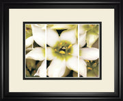 Star Of Bethlehem Triptych By Levine, A.