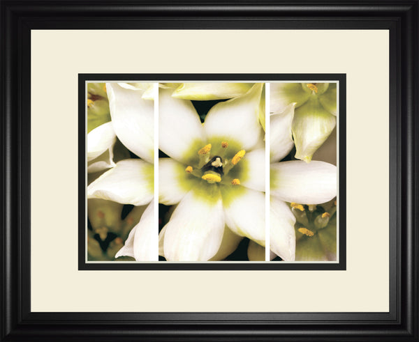 Star Of Bethlehem Triptych By Levine, A.