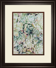 Translucent Succulents by Chelsea Kedron