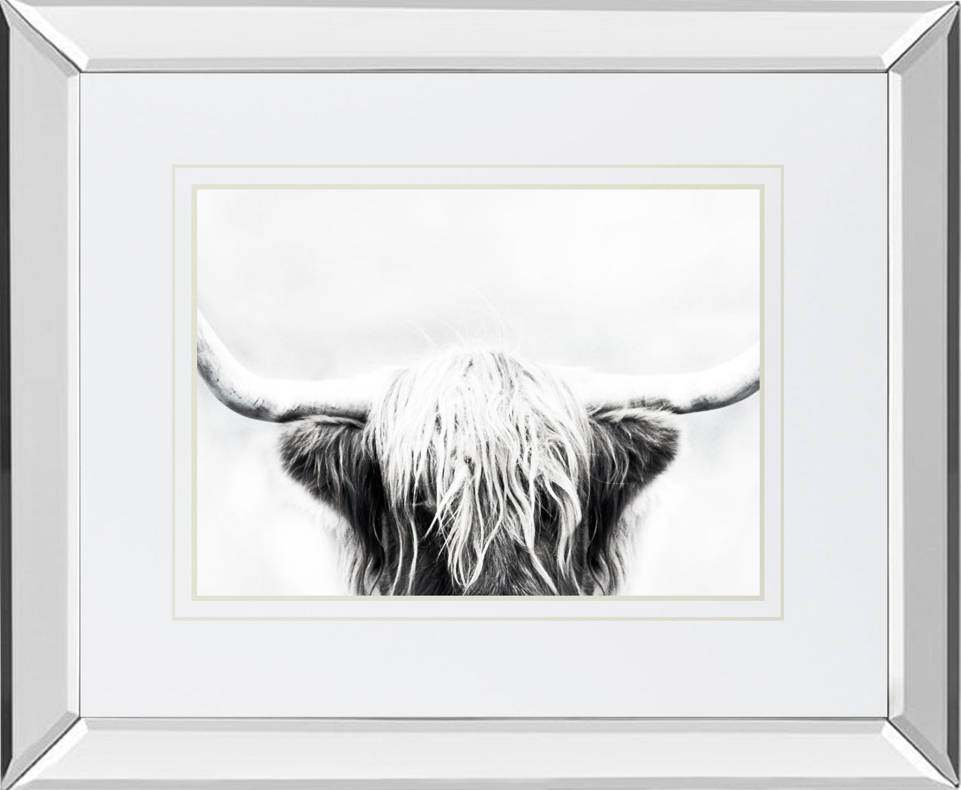 Mirrored Frame Longhorn BY Danita Delimont