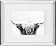 Mirrored Frame Longhorn BY Danita Delimont