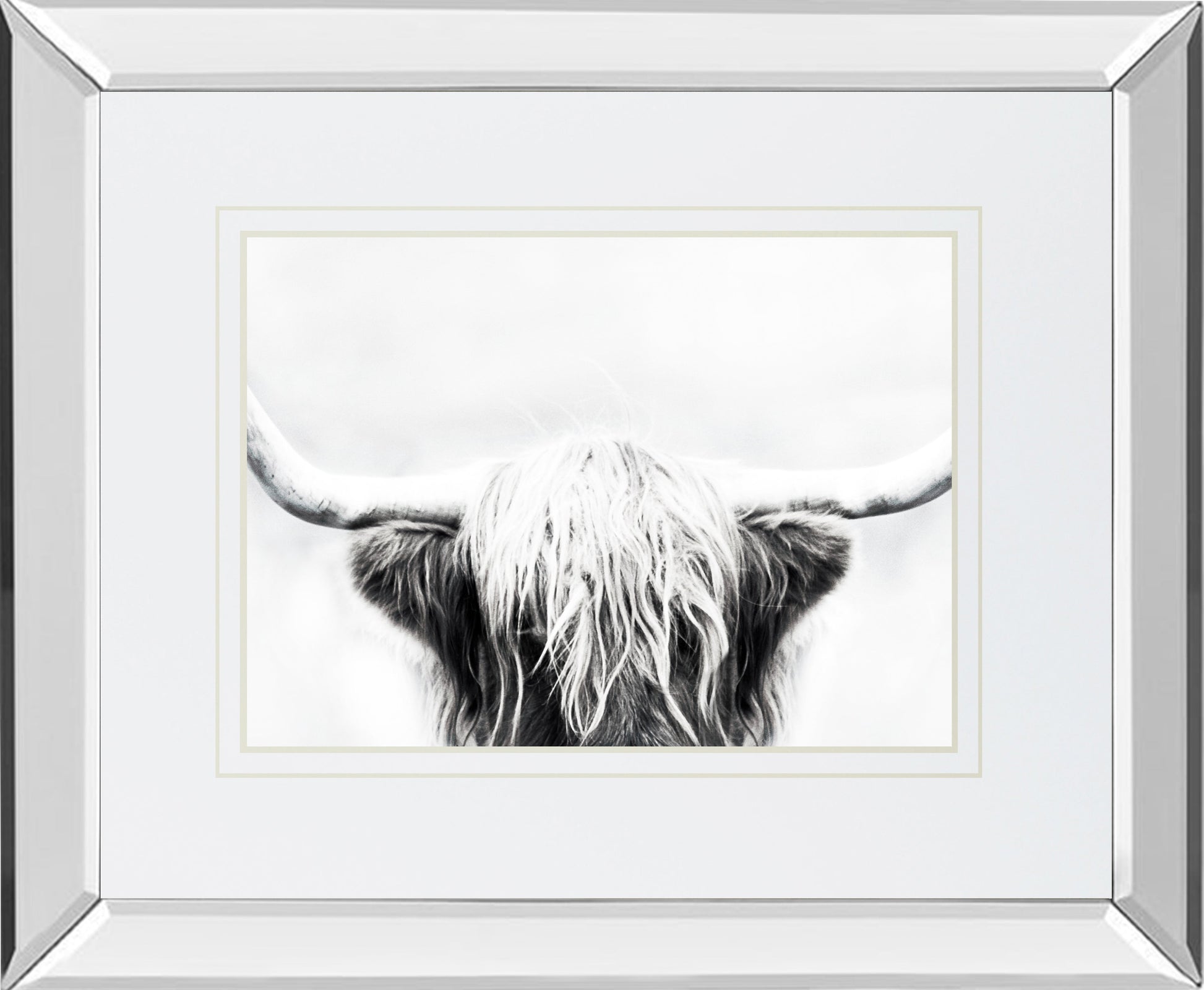 Mirrored Frame Longhorn BY Danita Delimont