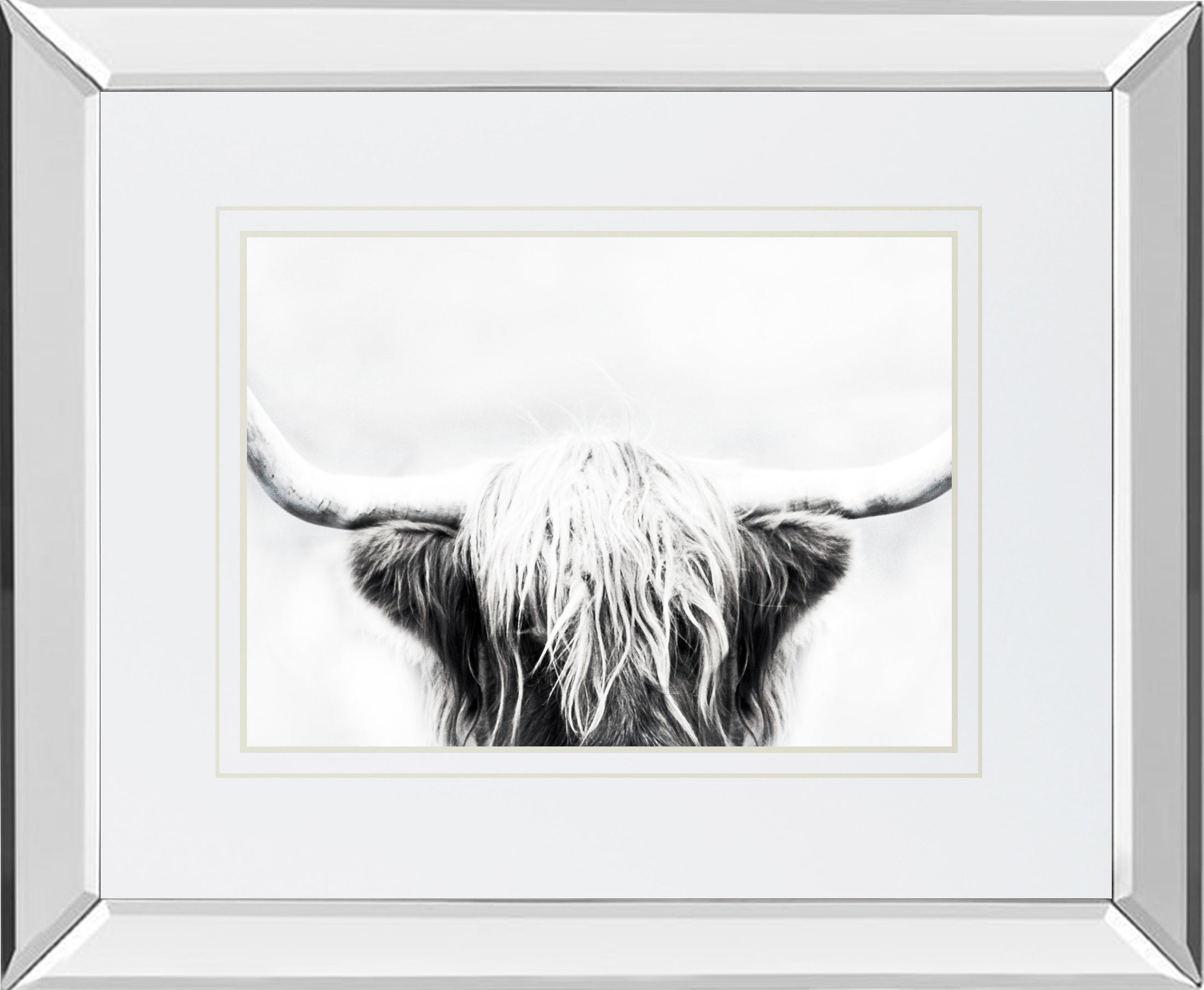 Mirrored Frame Longhorn BY Danita Delimont