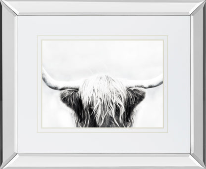 Mirrored Frame Longhorn BY Danita Delimont