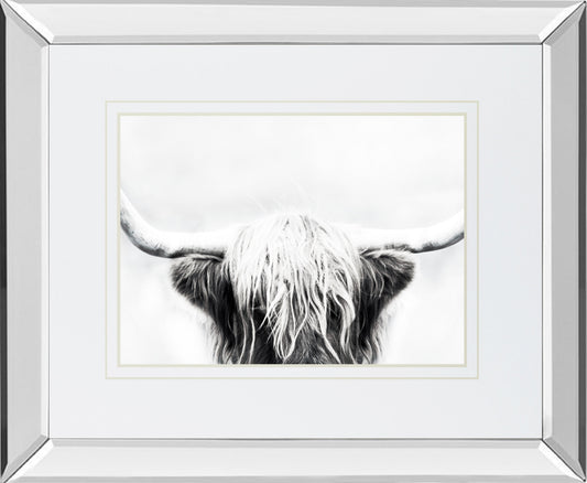 Mirrored Frame Longhorn BY Danita Delimont