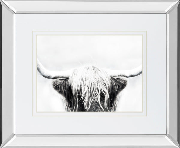 Mirrored Frame Longhorn BY Danita Delimont