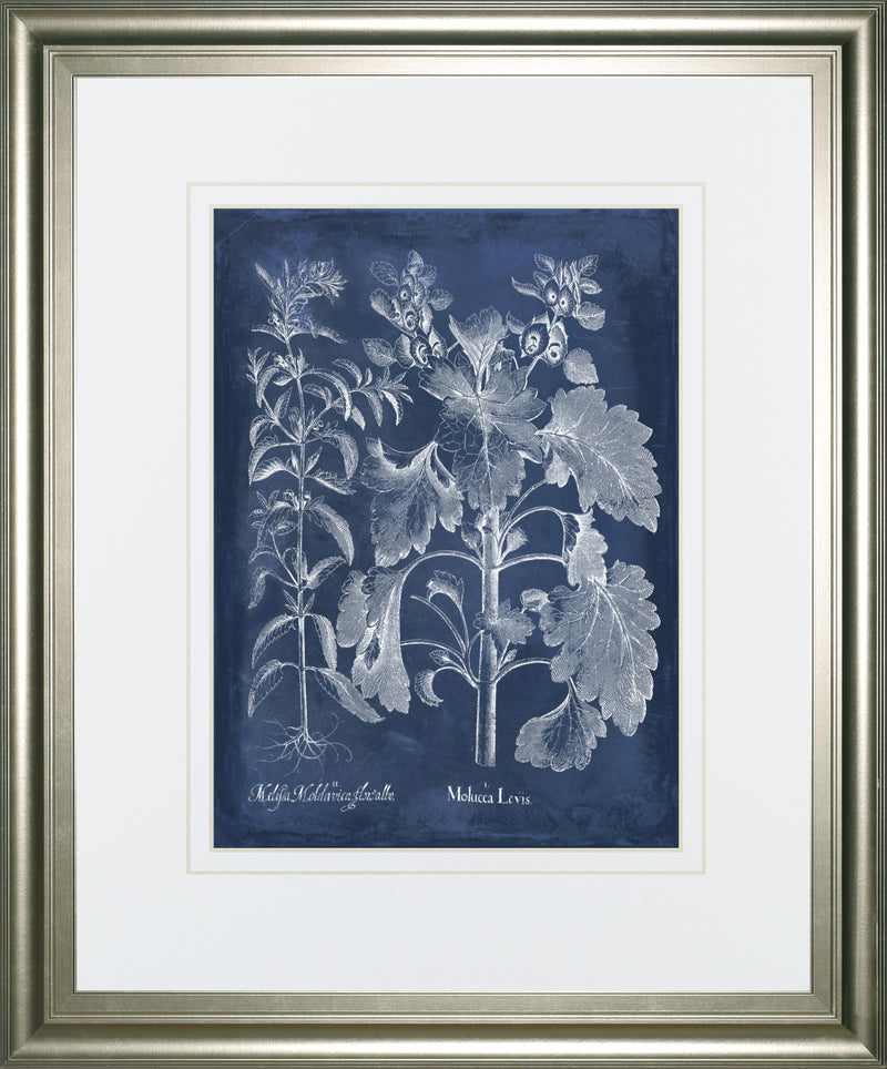 Besler Leaves in Indigo I BY Vision Studio