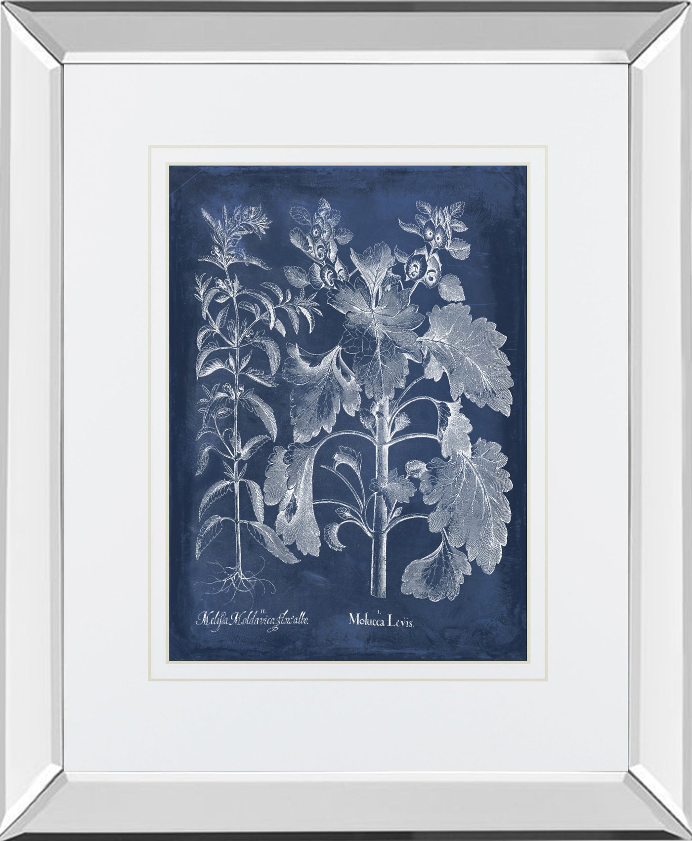 Mirrored Frame Besler Leaves in Indigo I BY Vision Studio
