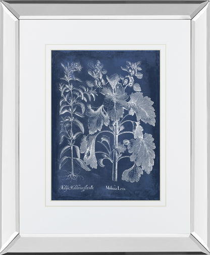 Mirrored Frame Besler Leaves in Indigo I BY Vision Studio