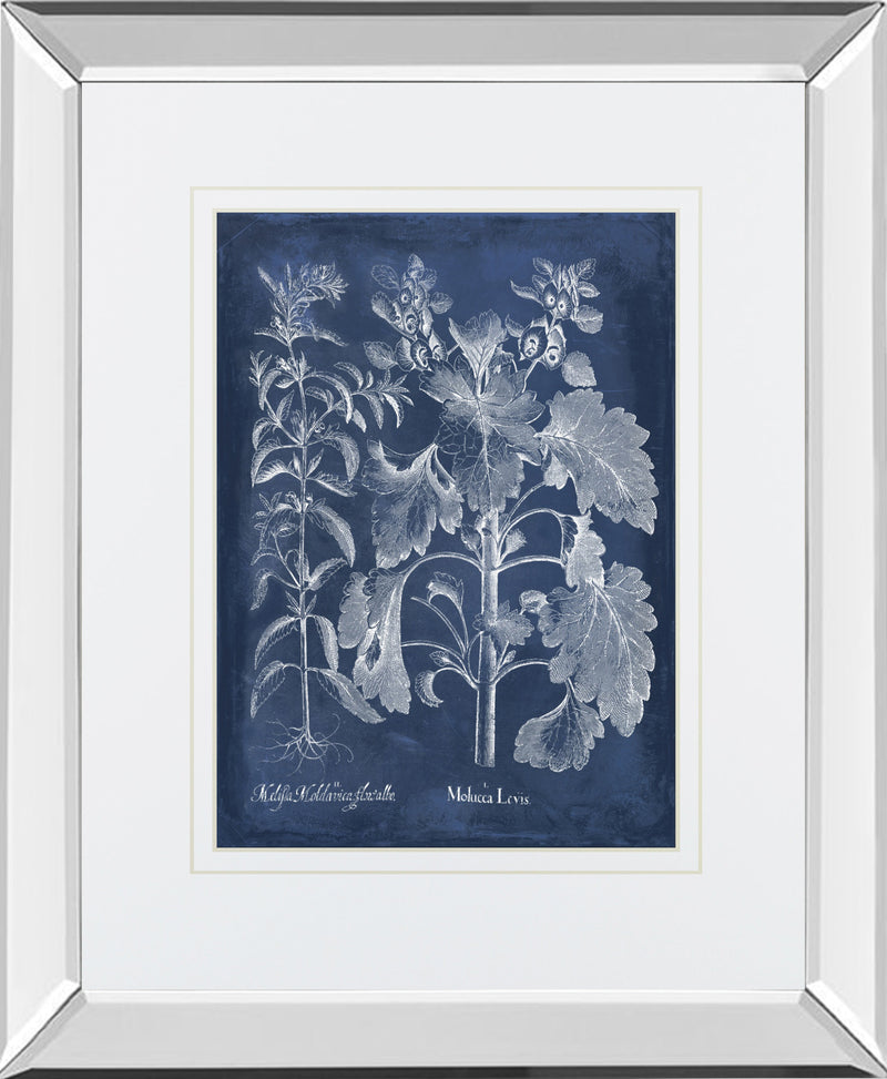 Mirrored Frame Besler Leaves in Indigo I BY Vision Studio