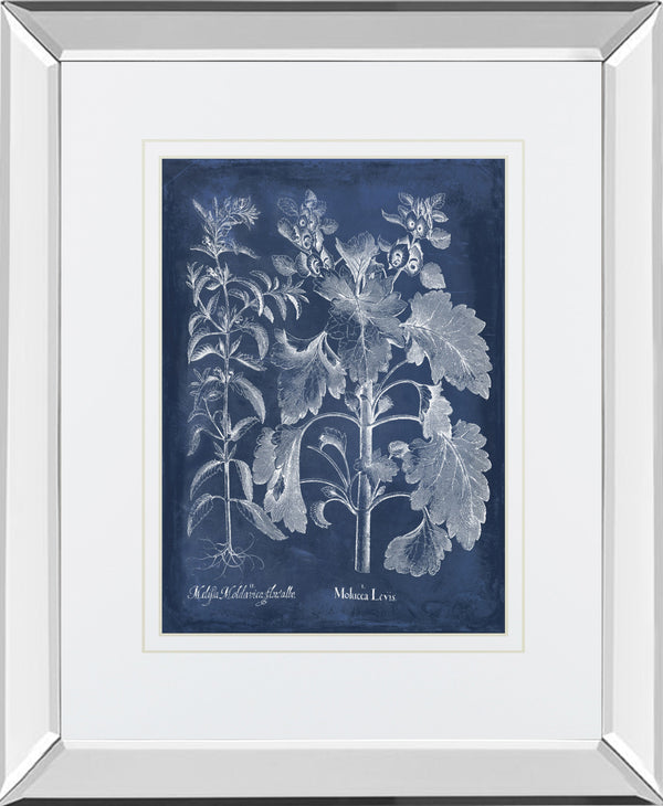 Mirrored Frame Besler Leaves in Indigo I BY Vision Studio