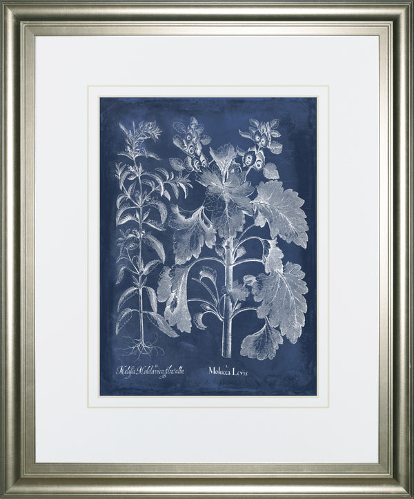 Besler Leaves in Indigo I BY Vision Studio