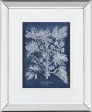 Mirrored Frame Besler Leaves in Indigo II BY Vision Studio
