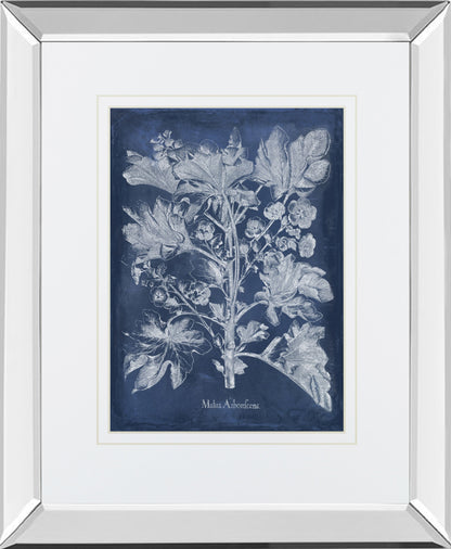 Mirrored Frame Besler Leaves in Indigo II BY Vision Studio
