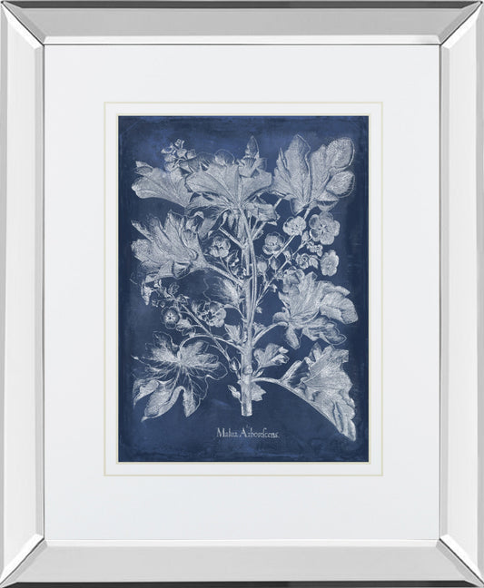 Mirrored Frame Besler Leaves in Indigo II BY Vision Studio