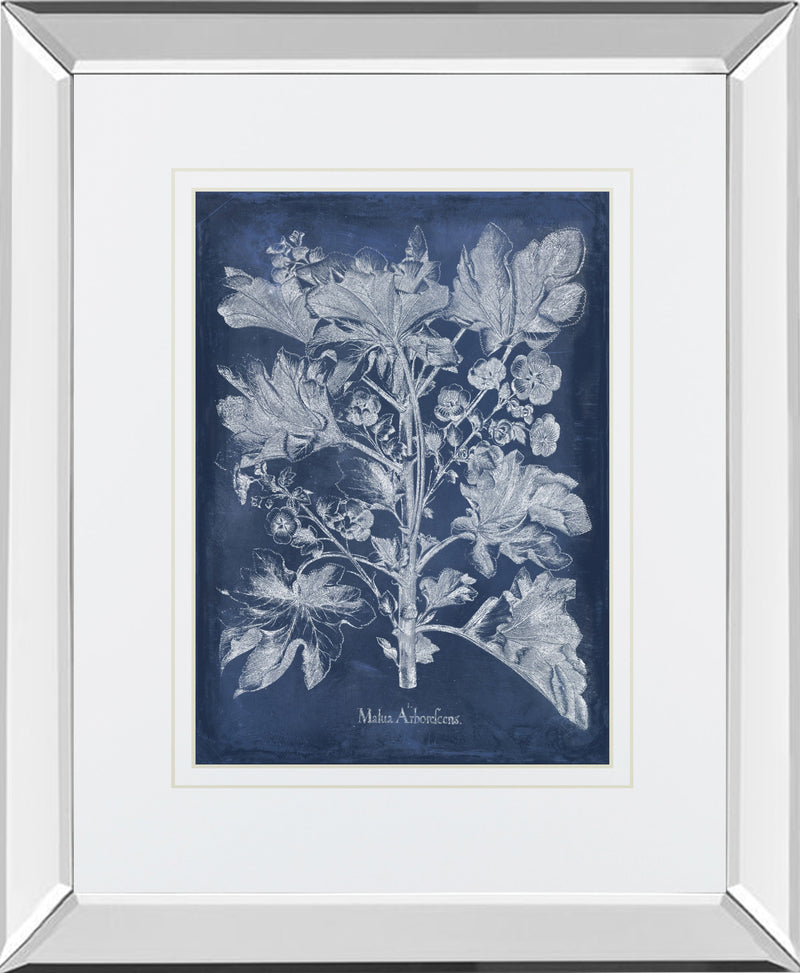 Mirrored Frame Besler Leaves in Indigo II BY Vision Studio