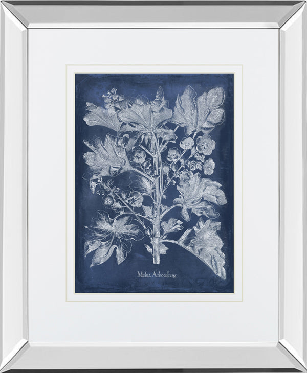 Mirrored Frame Besler Leaves in Indigo II BY Vision Studio