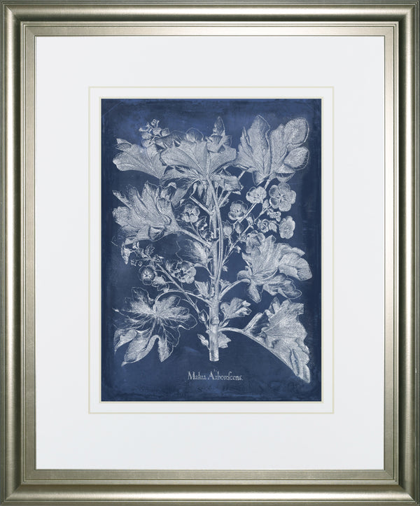 Besler Leaves in Indigo II BY Vision Studio