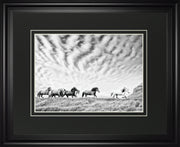 DM6192