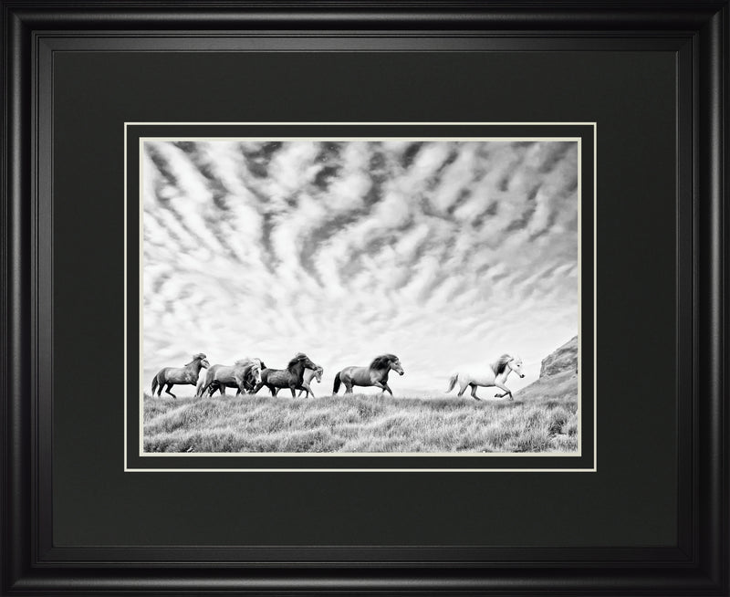 Horse Run III BY PHBurchett